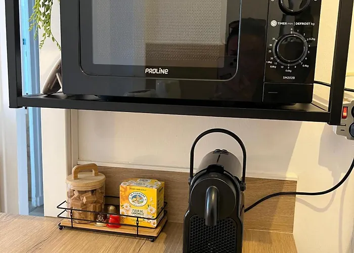 Apartment Le Savary Centre-ville Pres Des Chantiers *